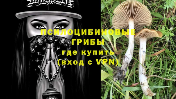 метадон Абаза
