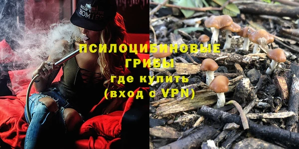 метадон Абаза