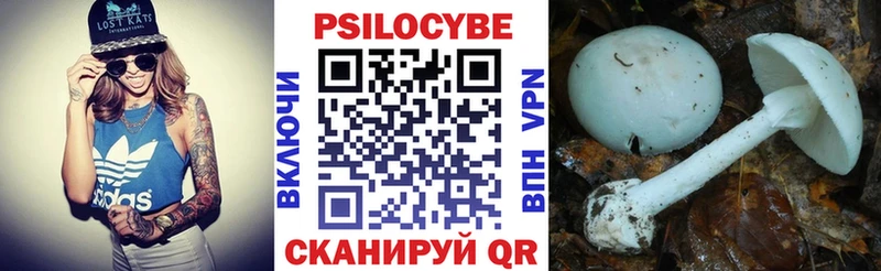 как найти закладки Кадников Галлюциногенные грибы мицелий